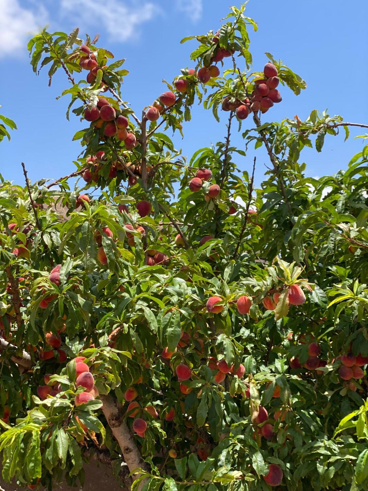 Vallechico Villa Vallebron Dış mekan fotoğraf