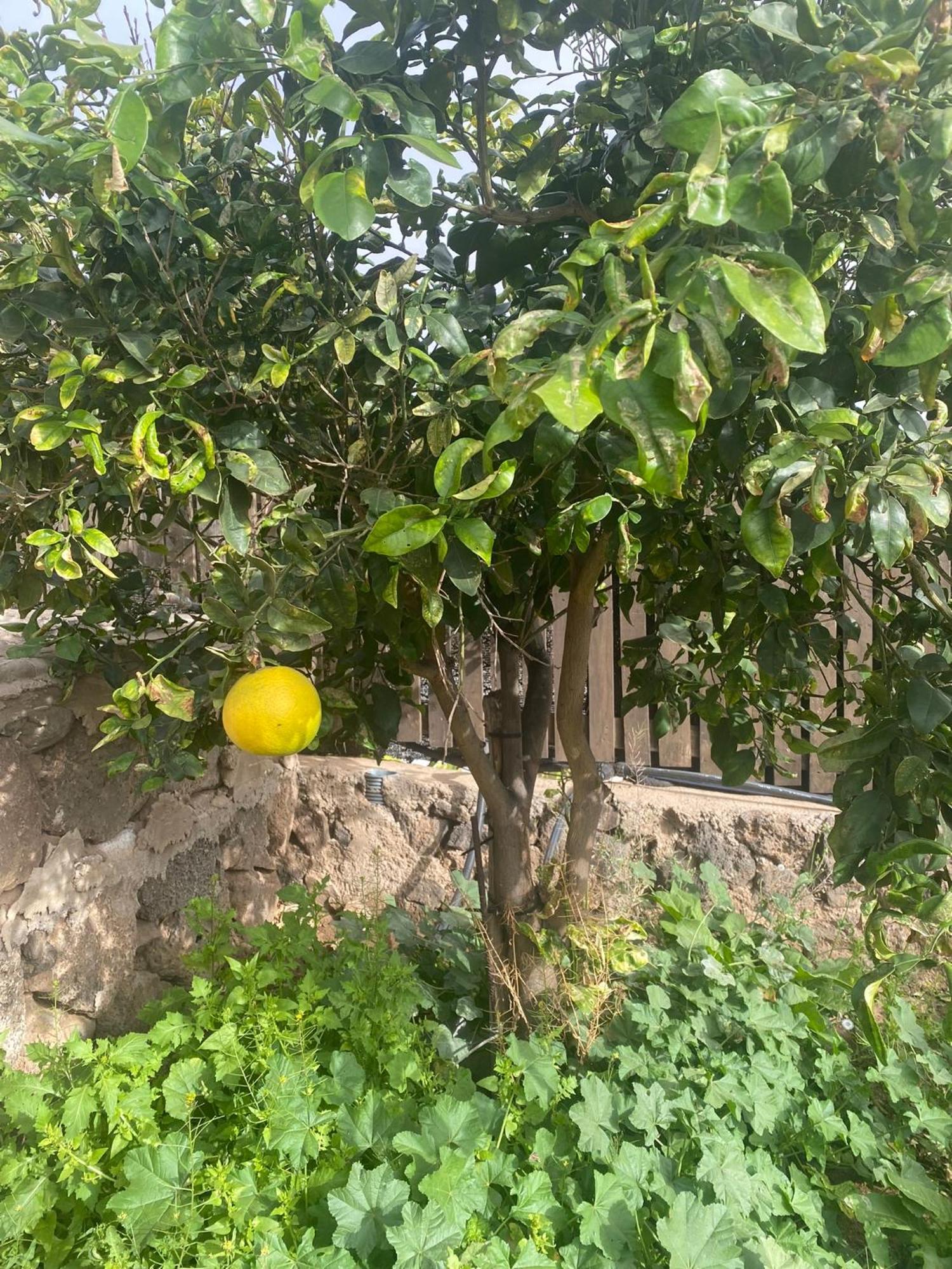 Vallechico Villa Vallebron Dış mekan fotoğraf